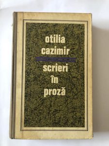 Scrieri în proză