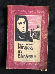 Ningea în Bărăgan