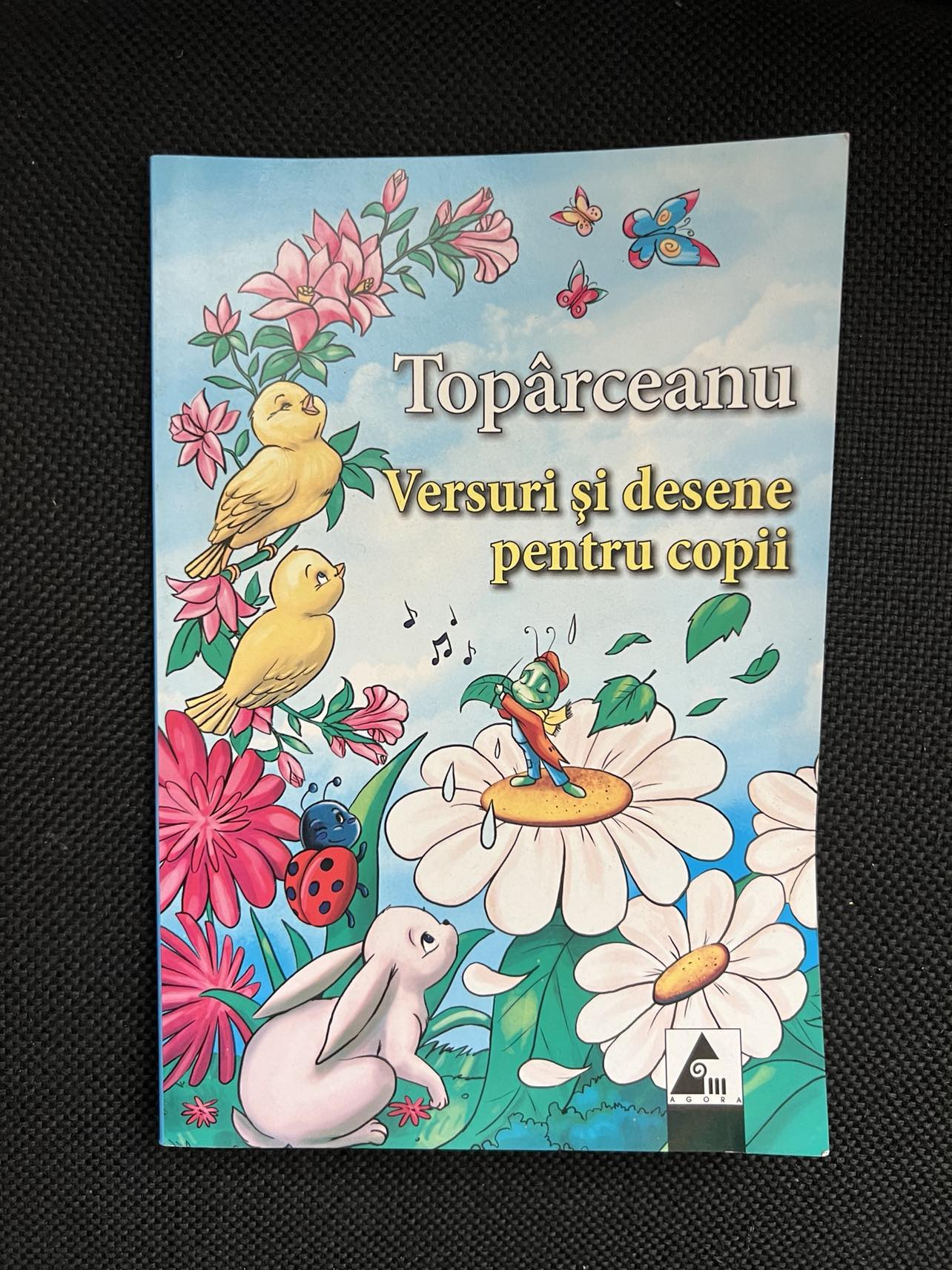 Nici O Imagine Disponibile