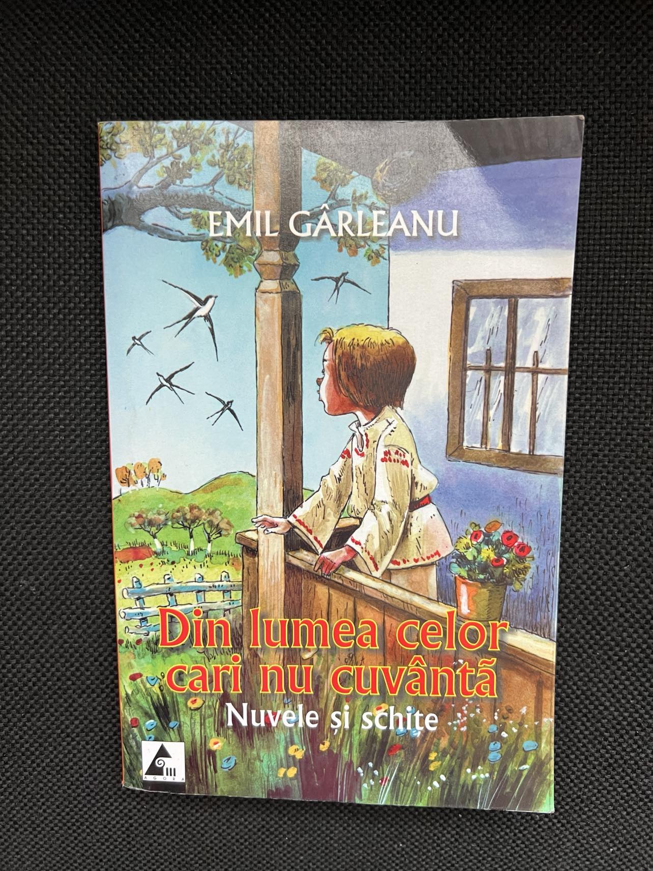 Nici O Imagine Disponibile