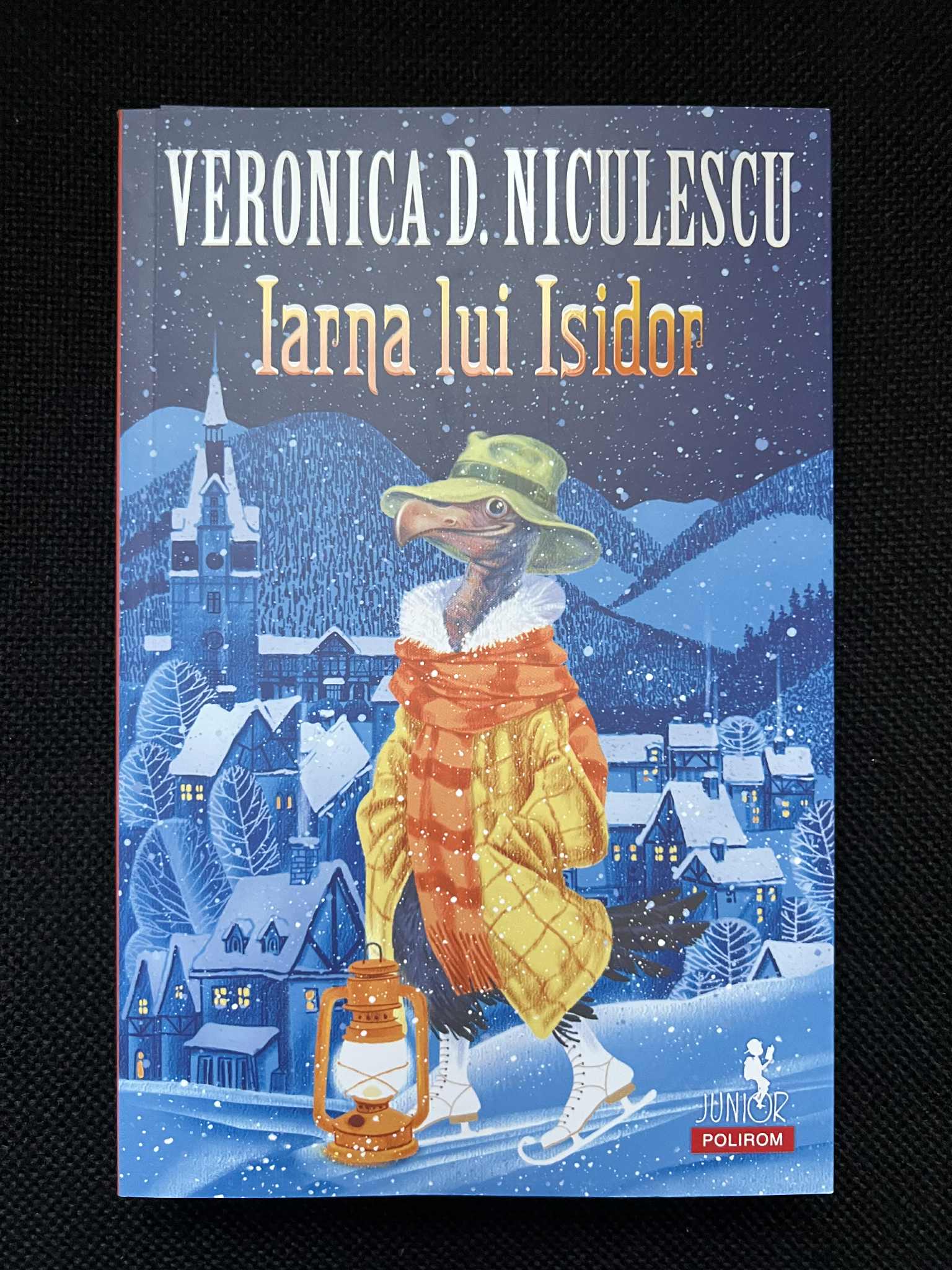 Nici O Imagine Disponibile