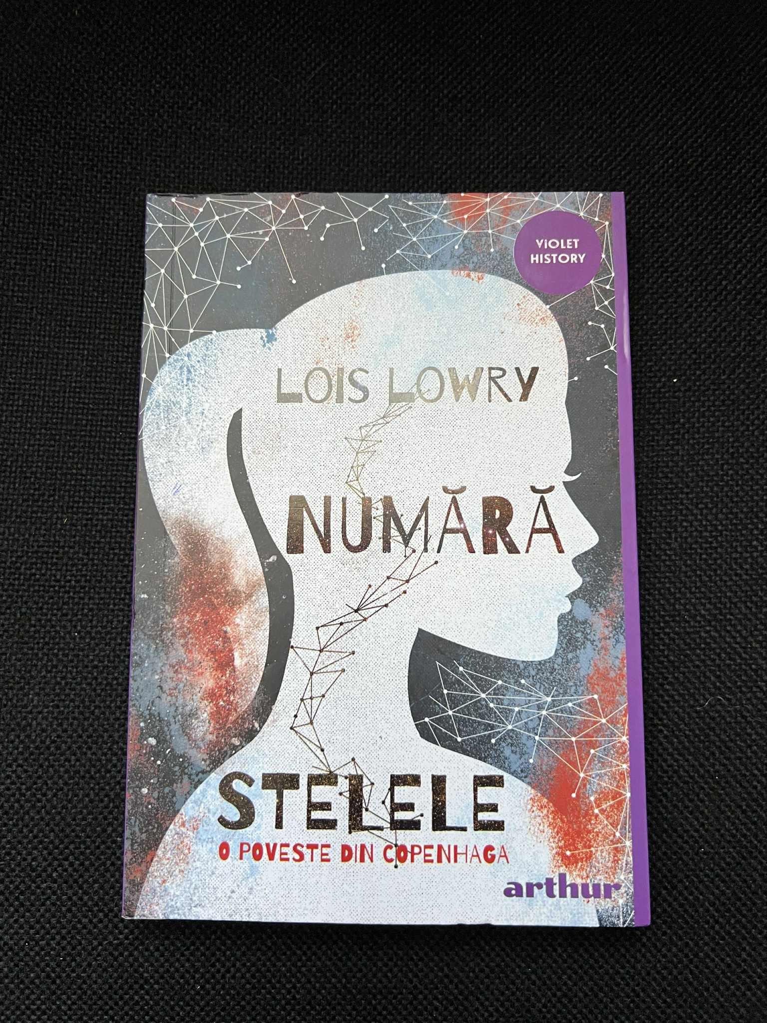 Nici O Imagine Disponibile