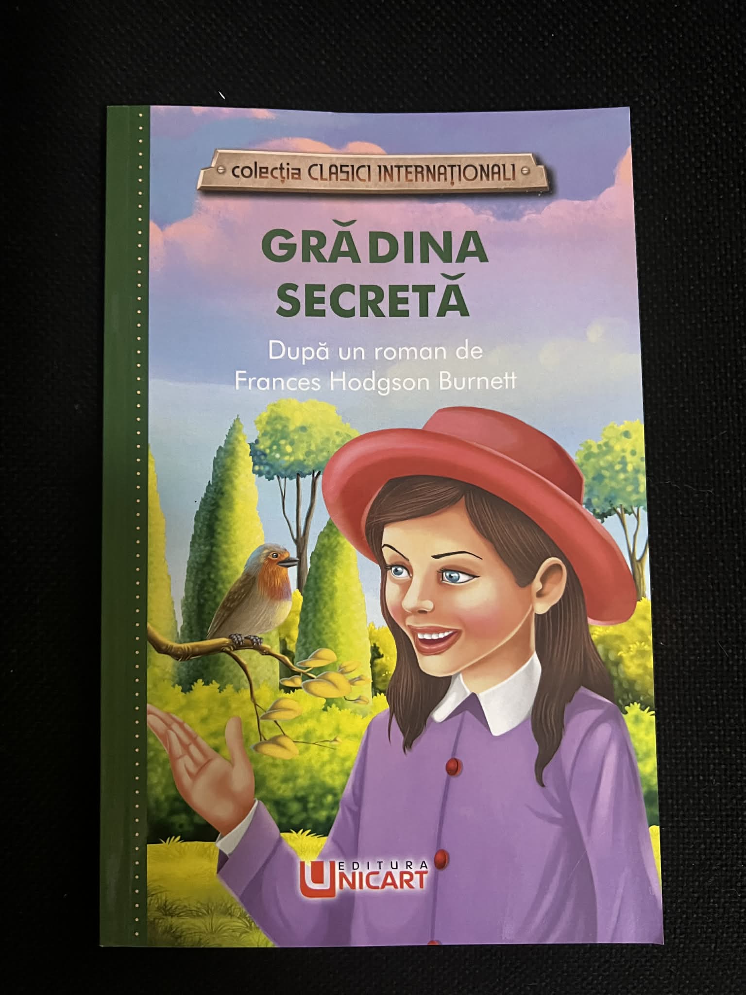 Nici O Imagine Disponibile