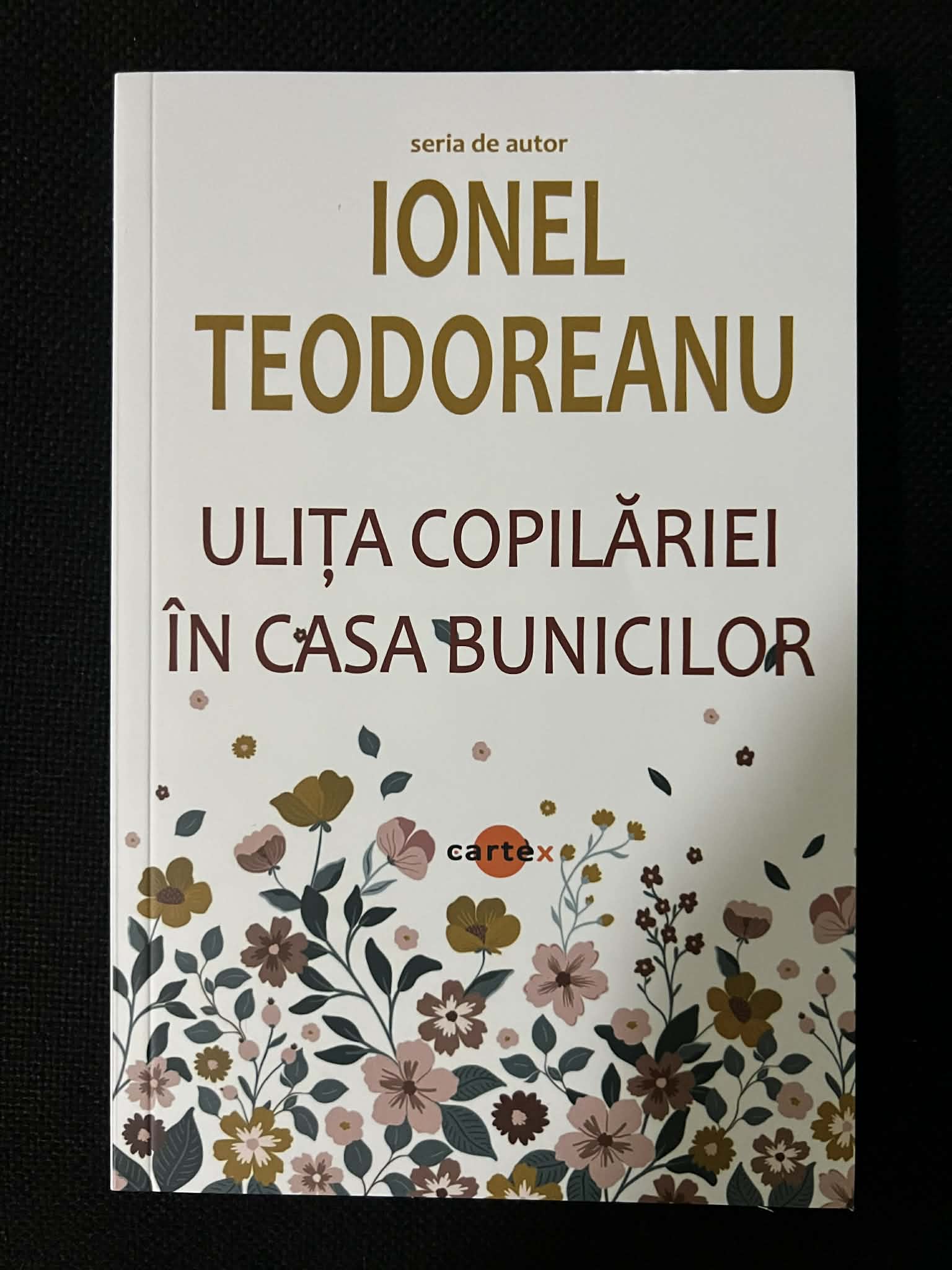 Nici O Imagine Disponibile